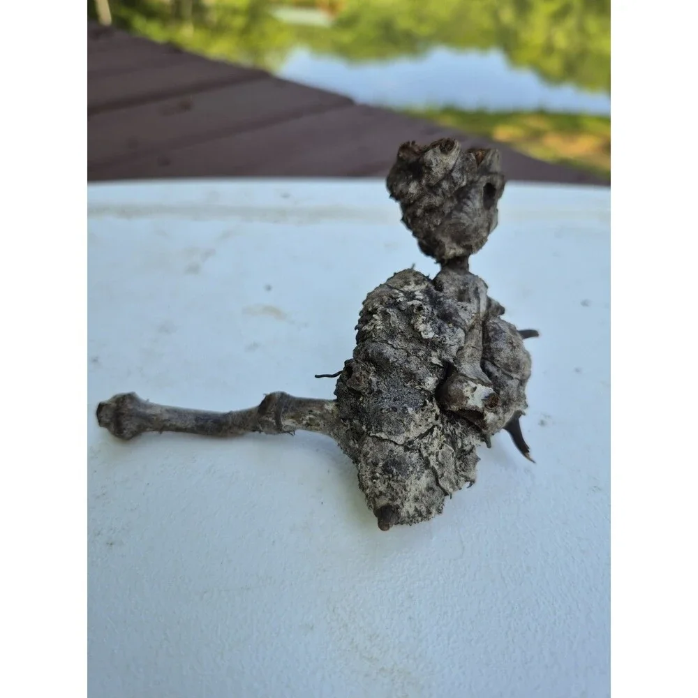 Driftwood Aquarium Supplies  Wood Art Mixed Media  Conversation Piece 8 Pcs.